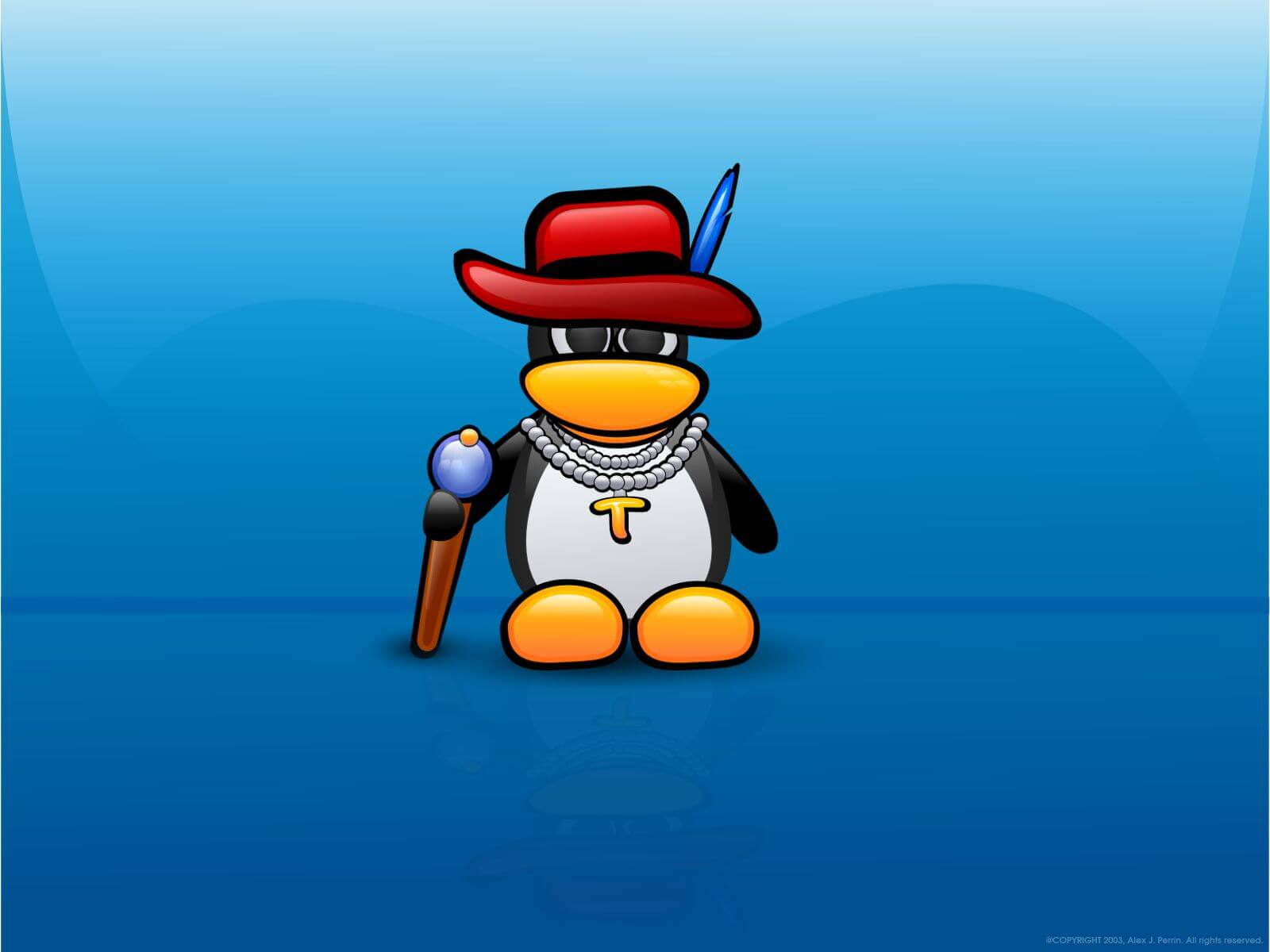 LNMP合租环境下Nginx限制带宽大小