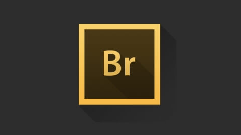 Adobe Bridge 2020 Mac中文破解版