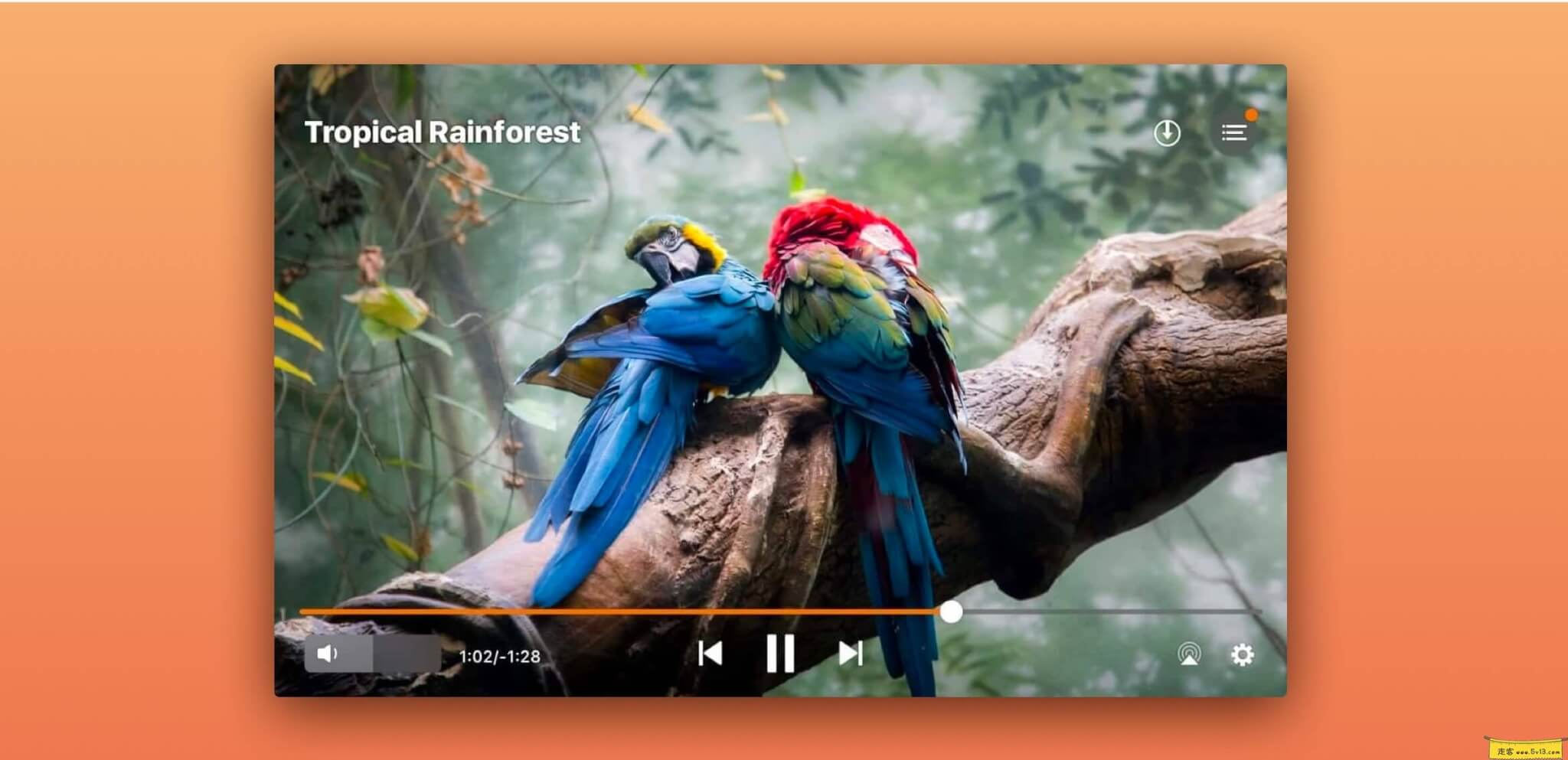 Elmedia player Mac版:全能Mac视频播放器、支持流媒体、在线字幕