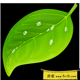 Coda 2.7.6 Mac破解版