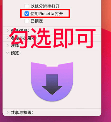 Apple Silicon M1、M2 应用安装后运行闪退的暂时解决办法