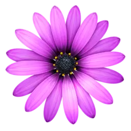 TextMate 2.0.22 Mac破解版