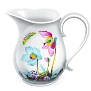 Charles 4.6.4 Mac破解版