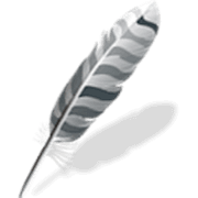 Wing Pro 10.0.4.0 Mac破解版