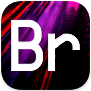 Arturia Delay BRIGADE 1.6.0 Mac破解版