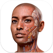 Complete Anatomy 11.0.0 Mac中文破解版