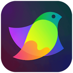 Amadine 1.6.5 破解版/ 专业的矢量图形设计软件