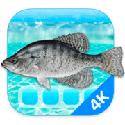Aquarium 4K 1.1.0 破解版 4K高清屏幕保护工具