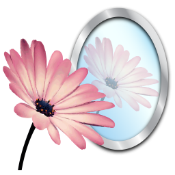 PhotoReflector 1.1 Mac 破解版 图片倒影效果制作工具