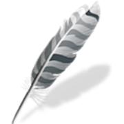 Wing Pro 10.0.7.0 Mac破解版