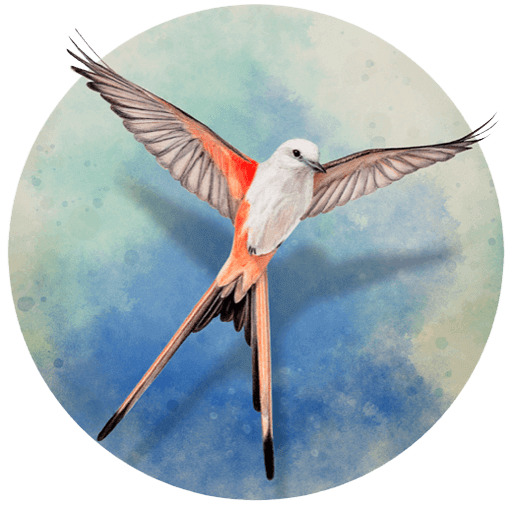 展翅翱翔 v1.7.240.0710.1632 Mac中文版