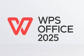 WPS Office 2025专业增强版，自动激活+永久授权